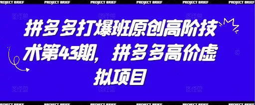 拼多多打爆班原创高阶技术第43期，拼多多高价虚拟项目